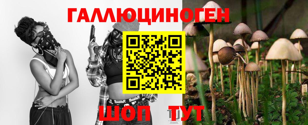 Псилоцибиновые грибы ЛСД  Псилоцибиновые грибы прущие грибы  Отрадное  Вход с VPN 